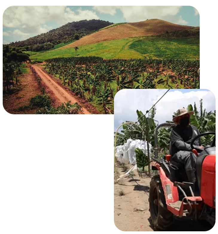 agrocentro rm