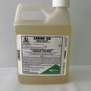 AMINE 6D