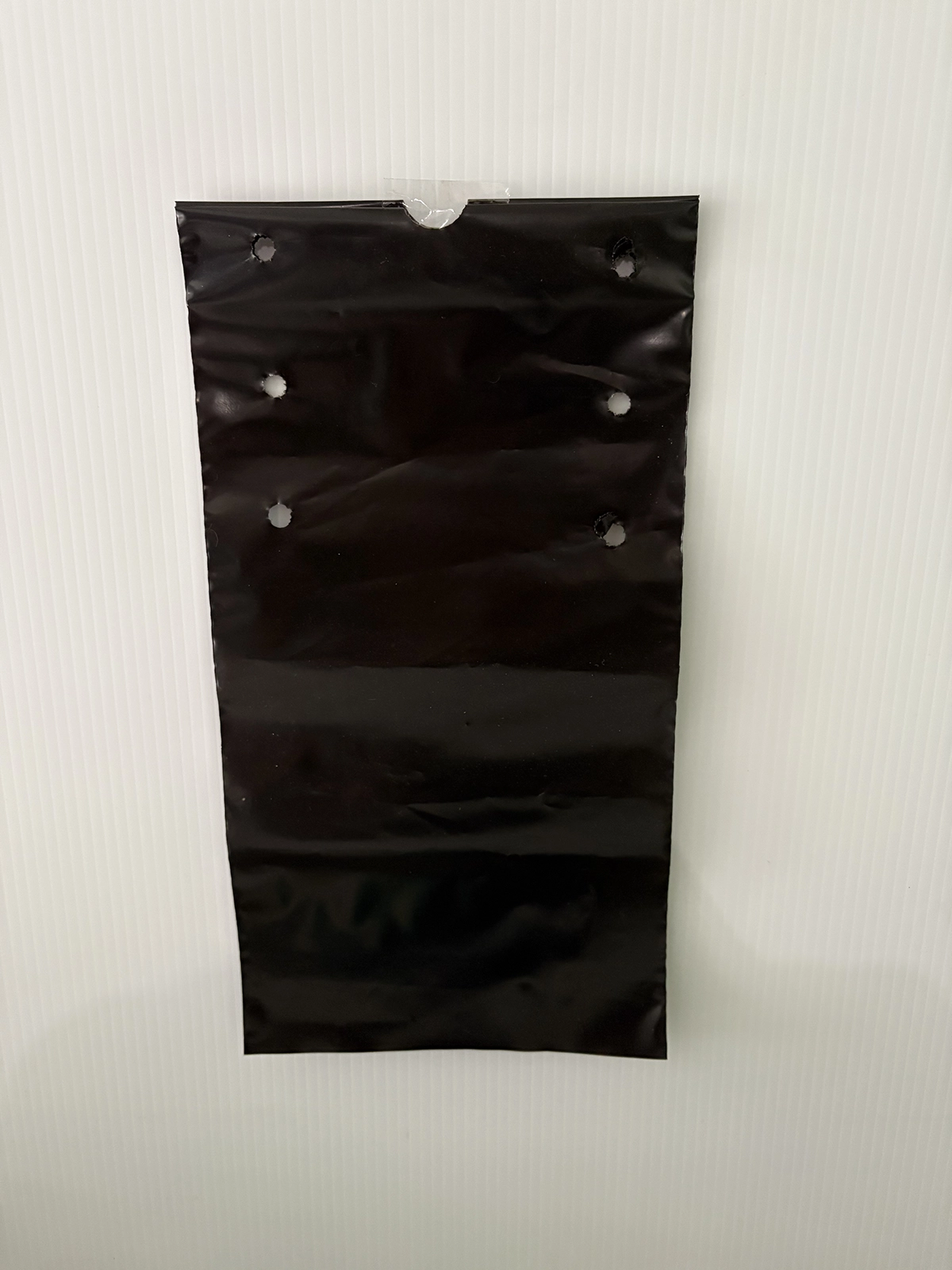 Bolsas para siembra de cítricos