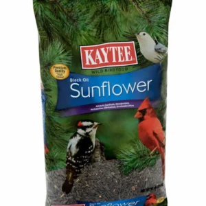 Kaytee Black Oil Sunflower Bird Food