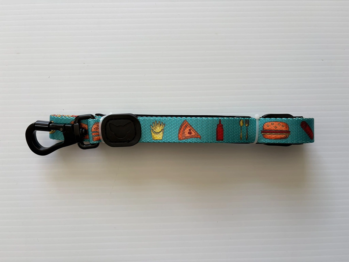 Dog Leash-Foodie (XL)